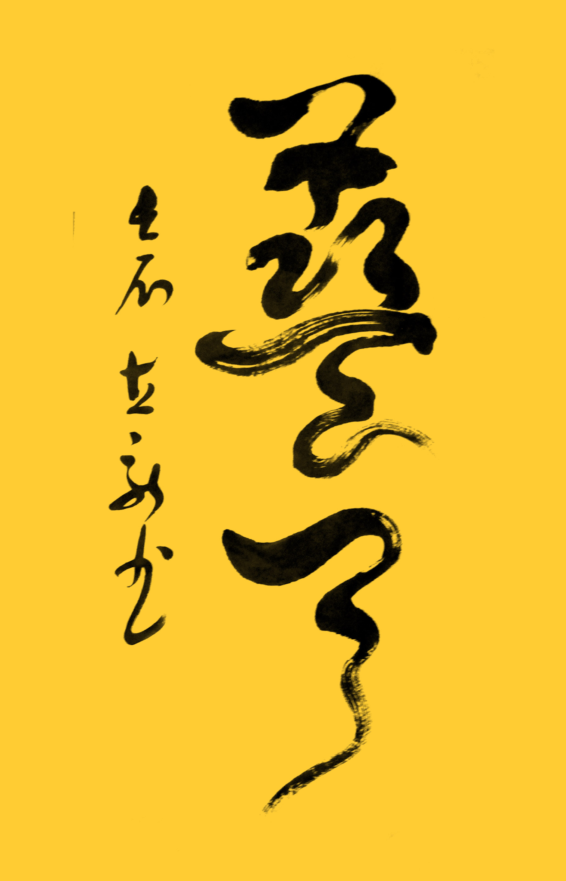 ¾ʿ鷨Ʒ