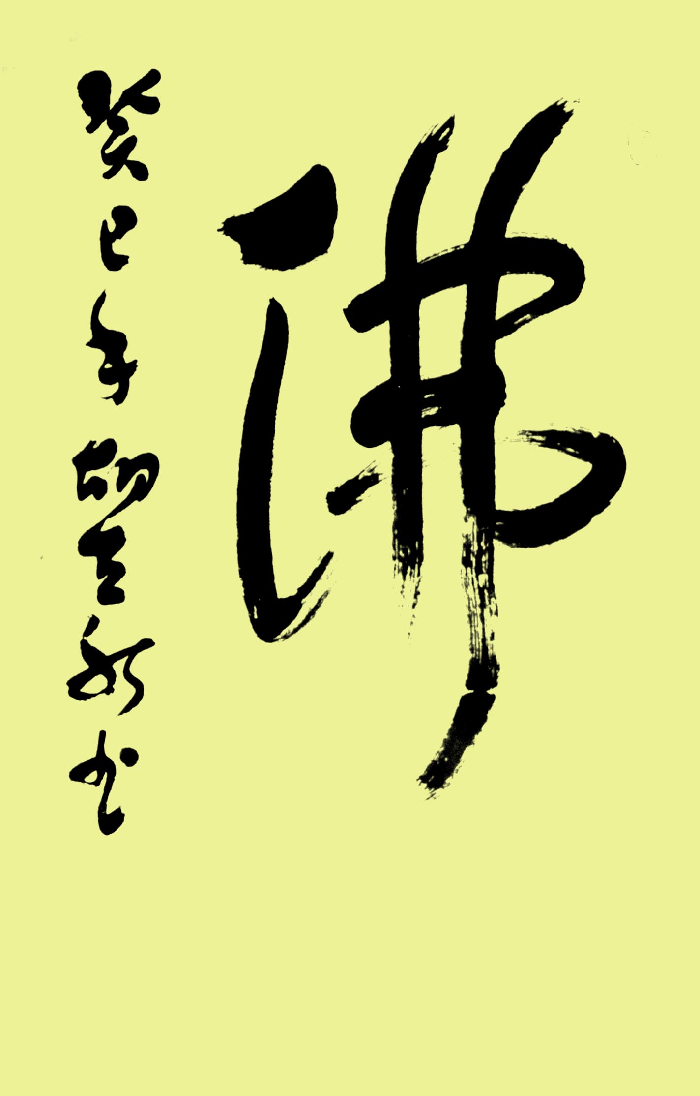 鷨