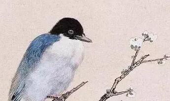 Ŵǧ幤ʻ